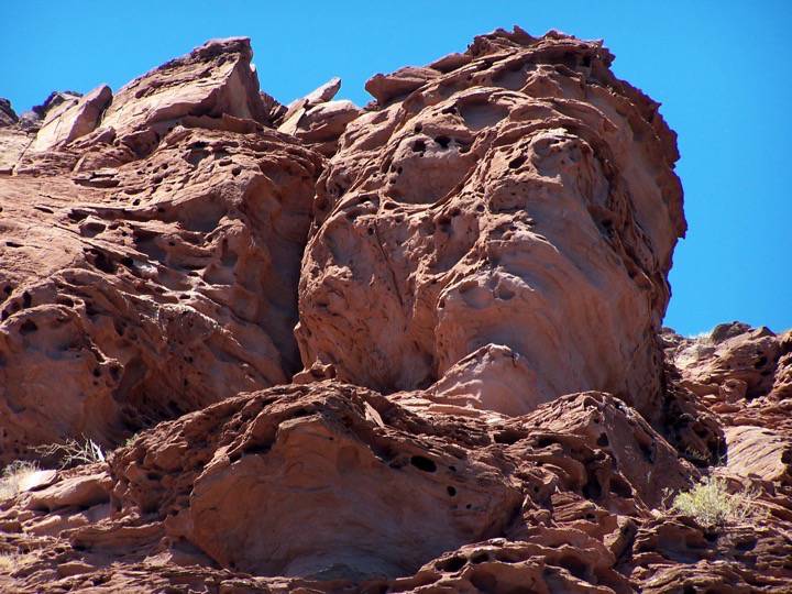 Galerie des 7 arts - Puerto Refugio